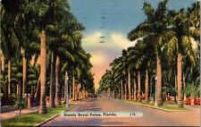 🌴 Florida Vintage Stately Royal Palm Trees FL Post Card Linen 1949 Postmark picture