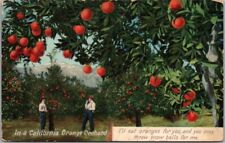Vintage 1910s CALIFORNIA Greetings Postcard 