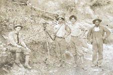 ORIGINAL AFRICAN AMERICAN HELPS SURVEY AROUND THE STATE OF TENNESSEE c1910 PHOTO picture