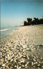 Postcard FL - Captiva Island - Beach full of shells picture