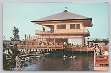 San Diego California, Sea World Murata Pearl Japanese Village, Vintage Postcard picture