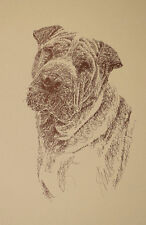 SHAR PEI DOG ART #32 Artist Stephen Kline adds your dogs name free. GREAT GIFT picture