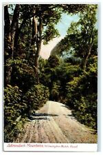 c1905s Wilmington North Road, Adirondacks Mountains New York NY Antique Postcard picture