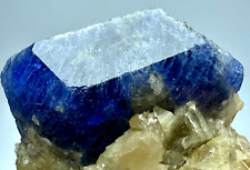 259 Carat Fluorescent Top Blue Hackmanite Crystal On Winchite From @Afg picture