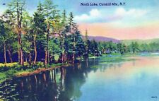North Lake Catskill Mountains New York Unposted Postcard picture