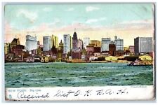 1906 Sky Line New York NY Posted Antique Raphotype Tuck Art Postcard picture