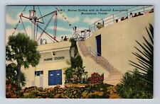 Marineland FL-Florida, Marine Studios With Nautical Atmosphere Vintage Postcard picture