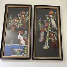 Feather Art Beautiful Birds Set 2 Wood Framed With Glass 16” X 8” Set 2 picture