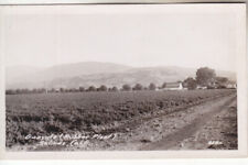 RPPC Salinas CA Monterey CO Guayule Rubber Plant California Real Photo Postcard picture