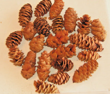 Pine Cones For Micro Ornaments Christmas Decorations Tree Cones, Approx 20pcs picture