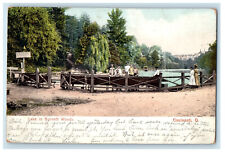 1906 Lake in Burnett Woods, Cincinnati Ohio OH Antique Posted Postcard picture