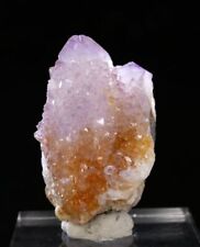 Cactus AMETHYST - Boekenhouthoek,South Africa | 42 x 27 x 26 mm | Chipped #rs picture