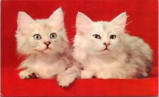 c1950s, Mr. and Mrs. sweet cats, nice vintage card picture