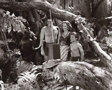Tarzan Triumphs Johnny Weissmuller Frances Gifford Johnny Sheffield 24x30 poster picture