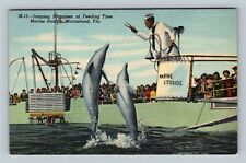 St Augustine FL Marineland Studios Jumping Porpoises Florida Vintage Postcard picture