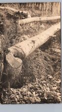 BEAVER'S LOGGING wausau wi real photo postcard rppc wisconsin outdoors picture