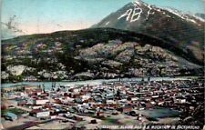 Vintage Postcard View of A.B. Mountain and Town of Skagway Alaska AK 1910  20413 picture
