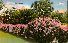 Vintage 1940s Coral Vines, Shrubs, Trees Blossom Away in  Florida FL Postcard  picture