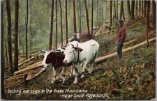 1910s South Royalton, Vermont Postcard 