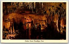 Cactus Room, Onondaga Cave, Leasburg, Missouri - Postcard picture