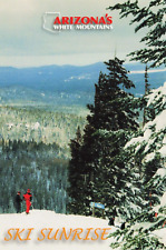 Arizona Snow Ski Sunrise Scenic View Chrome Postcard Unposted Unused picture