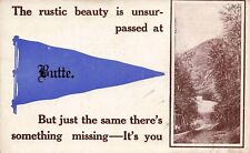 MONTANA POSTCARD: PENNANT BANNER RUSTIC BEAUTY IS UNSURPASSED AT BUTTE, MT picture
