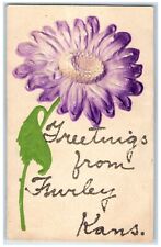 c1910 Greetings From Furley Kansas KS Embossed Glitter Flower Vintage Postcard picture