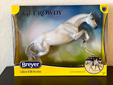 Breyer Horses GET ROWDY Collector Club GLOSSY CC Appreciation '24 Bristol Jumper picture