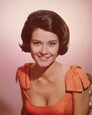 film actress Diane Baker - 1966 Old Photo picture