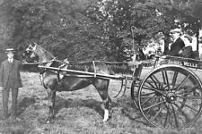 flt-82 Pony And Trap, Lincolnshire c1910. Photo picture