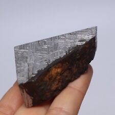 188g Muonionalusta Meteorite,Natural meteorite slice,Space rock,collection B2870 picture