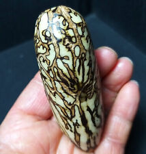 RARE 45.5G  Natural Polished Wood Grain Bodhi Crystal Healing  A3773 picture