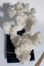 White Aragonite Cave Crystal Cluster 5.41 lb Gorgeous Specimen/Huge /Old Stock picture