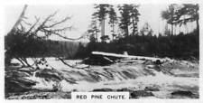 Red Pine Chute, Canada, c1920s Old Photo picture