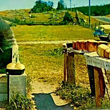 Postcard Roadside Bread Oven, Canada, Fresh Loaves, Classic Car, Posted picture