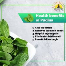 Organic Herbal Pudina(Mint) Powder 100 g picture