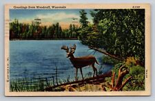 Greetings From Woodruff Wisconsin Posted 1950 Linen Postcard Deer picture