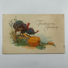 Postcard Thanksgiving Turkey Pumpkin 1924 Posted Lowell Massachusetts MA Gibson picture