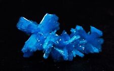 Cluster of bows of dark blue Cavansite  (non precious natural stone) # 2224 picture
