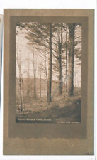 Hoosic-Whisick Pines, Milton MA postcard pmk 1906 rcv South Boston picture