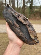 1 Large Real piece of Petrified Wood with a Beautiful gunmetal patina picture