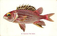 Island Curio Pvt Mailing Card Hawaiian Fish 19. Alaihi, Unposted picture