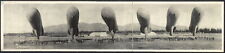 Photo:1919 Panoramic: Military Balloons at rest,Arcadia,California picture