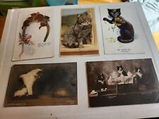 Lot (5) Antique Postcards Cat Scenes .One ALFRED Mainzer. 2 PHOTO. 2 Black Cat picture