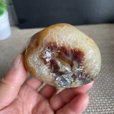 584g Bonsai Suiseki-Natural Gobi Agate Eyes Stone-Rare Stunning Viewing 9828 picture