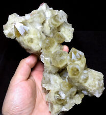 1245g Tibet Himalayan rare Elestial citrine QUARTZ Crystal Point cluster #136 picture