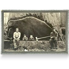 Vintage REDWOOD TREE Cabinet Card 7x10” Handsome Lumberjacks Kids Axes B/W Photo picture