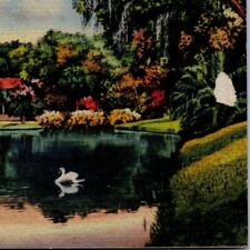 1949 April 20th, Lake Lucerne Orlando, Florida The City Beautiful Christmas FLA picture