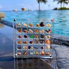 2Pcs Acrylic Magnetic Seashell Display Box,Clear Organizer Box Container Craft S picture