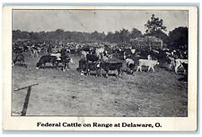 c1910's Federal Cattle On Range At Delaware Ohio OH Unposted Antique Postcard picture